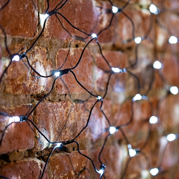 Гирлянда светодиодная Сеть 1х1,5м 160 LED БЕЛЫЙ черный ПВХ IP65 свечение с динамикой 230В блок в комплекте NEON-NIGHT