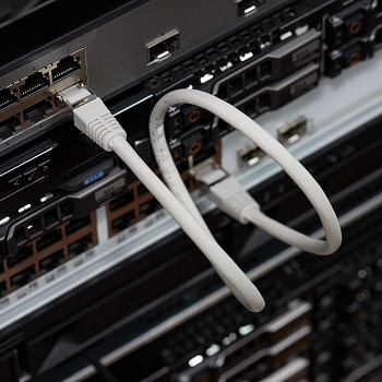 Шнур коммутационный, патч-корд F/UTP RJ45-RJ45, CAT 5e, LSZH серый, 0,5м REXANT