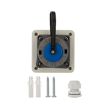 Розетка влагозащищенная настенная с крышкой 1 гнездо, 2Р+РЕ, 16А, IP68, серая REXANT