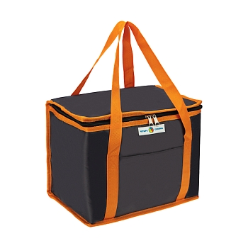 Сумка-холодильник (термосумка) 20л ЧЕТЫРЕ СЕЗОНА