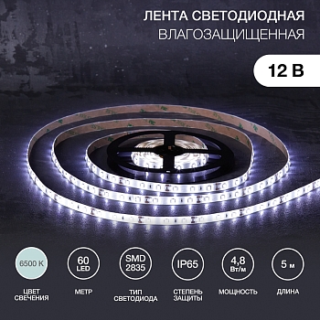 Лента светодиодная 12В, SMD2835, 4,8Вт/м, 60 LED/м, 6500К, 8мм, 5м, для БП с клеммами, IP65 LAMPER