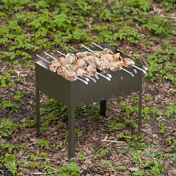 Мангал сборный походный 350х250х350мм, с 6 шампурами, в пленке СОКОЛ