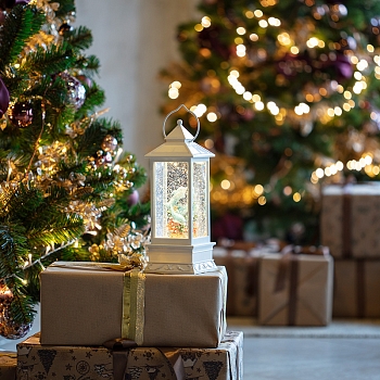 Декоративный светильник Дельфины с конфетти, USB NEON-NIGHT