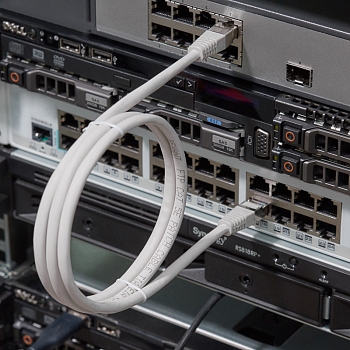 Шнур коммутационный, патч-корд F/UTP RJ45-RJ45, CAT 5e, LSZH серый, 1м REXANT