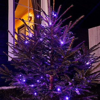 Гирлянда Нить управляемая 10м 100 LED ФИОЛЕТОВЫЙ черный ПВХ IP65 свечение с динамикой 230В контроллер в комплекте NEON-NIGHT