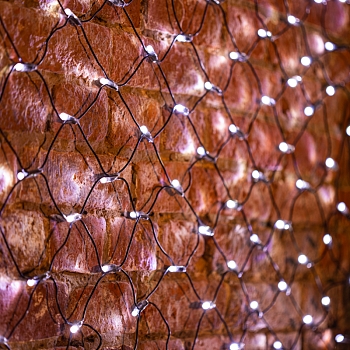 Гирлянда светодиодная Сеть 2х1,5м 288 LED БЕЛЫЙ черный ПВХ IP65 свечение с динамикой 230В блок в комплекте NEON-NIGHT