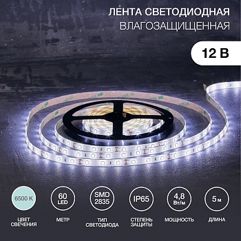 Лента светодиодная 12В, SMD2835, 4,8Вт/м, 60 LED/м, 6500К, 8мм, 5м, IP65 LAMPER