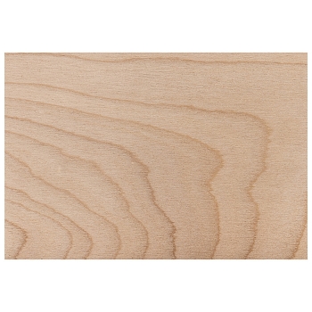 Доски для выжигания «Набор №3» (воин, динозавр, собака, машина, без рисунка), 148х210мм (А5), 5 шт., пакет REXANT