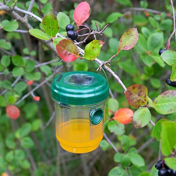 Ловушка для ос R 30м, на солнечной батарее REXANT