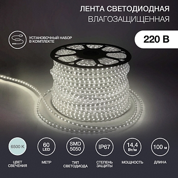 Лента светодиодная 220В, SMD5050, 14,4Вт/м, 60 LED/м, Холодный белый, 13х8мм, 100м, с кабелем питания, IP67 NEON-NIGHT