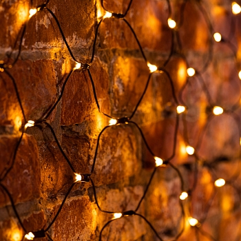 Гирлянда светодиодная Сеть 2х1,5м 288 LED ТЕПЛЫЙ БЕЛЫЙ черный ПВХ IP65 свечение с динамикой блок в комплекте NEON-NIGHT