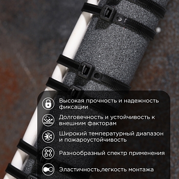 Стяжка нейлоновая Профессиональная 250x4,8мм, черная (100 шт/уп) REXANT
