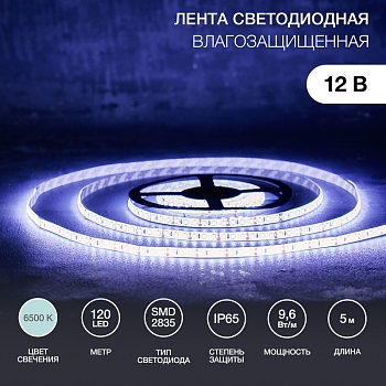 Лента светодиодная 12В, SMD2835, 9,6 Вт/м, 120 LED/м, 6500К, 8мм, 5м, IP65 LAMPER