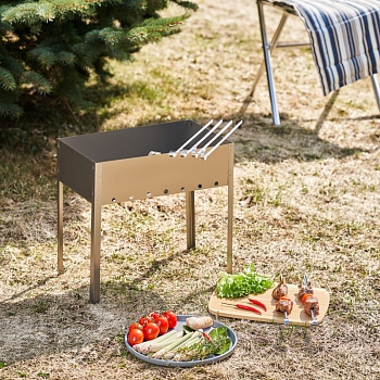 Мангал сборный Эконом 400х250х400мм, с 6 шампурами, в пленке СОКОЛ