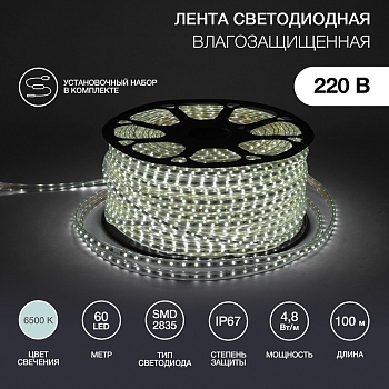 Лента светодиодная 220В, SMD2835, 60 LED/м, Холодный белый, 10х7мм, 100м, с кабелем питания, IP67 NEON-NIGHT