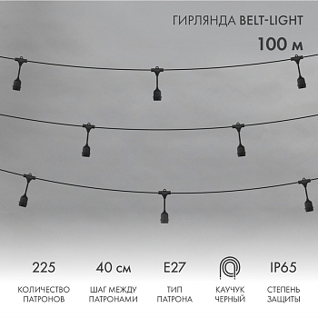 Гирлянда Belt-Light 2 жилы, 100м, шаг 40см, 225 подвесных патронов Е27, IP65, черный круглый провод NEON-NIGHT
