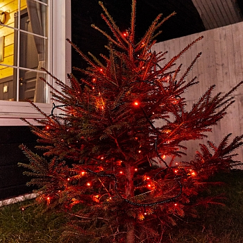 Гирлянда Нить управляемая 10м 100 LED КРАСНЫЙ черный ПВХ IP65 свечение с динамикой 230В контроллер в комплекте NEON-NIGHT