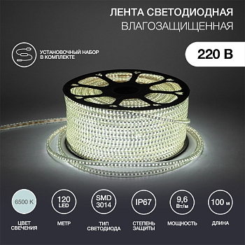 Лента светодиодная 220В, SMD3014, 9,6Вт/м, 120 LED/м, Холодный белый, 6х10,6мм, 100м, с кабелем питания, IP67 NEON-NIGHT